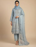 ✨ Silver-Embroidered Organza Salwar Kameez ✨