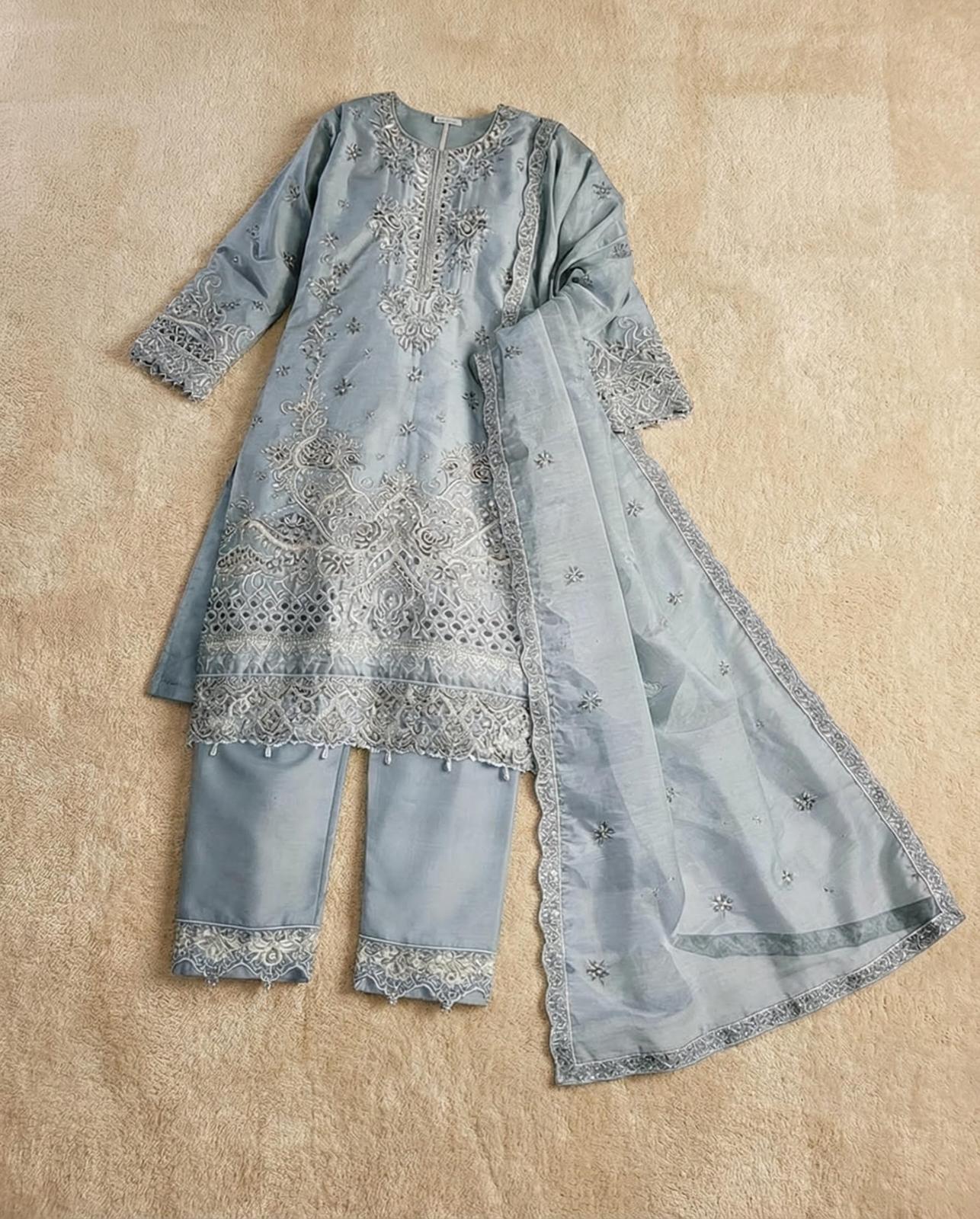 ✨ Silver-Embroidered Organza Salwar Kameez ✨